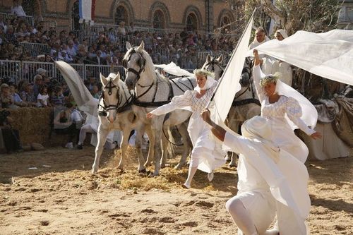 фестиваль тюфелей